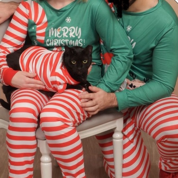 🌸 Cat matching Christmas outfit pajama will also fit size small dog - Picture 3 of 3